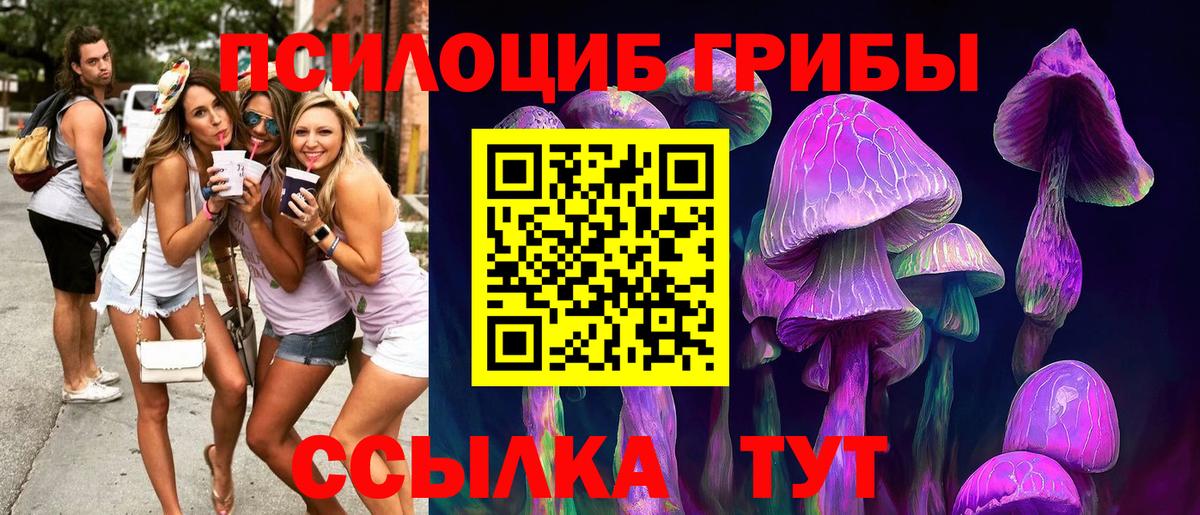 Галлюциногенные грибы Magic Shrooms Богородск