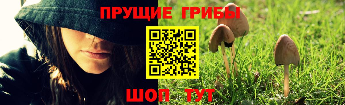 Псилоцибиновые грибы Psilocybine cubensis  Вход с VPN  Богородск 